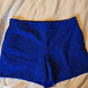 Women's Blue Shorts